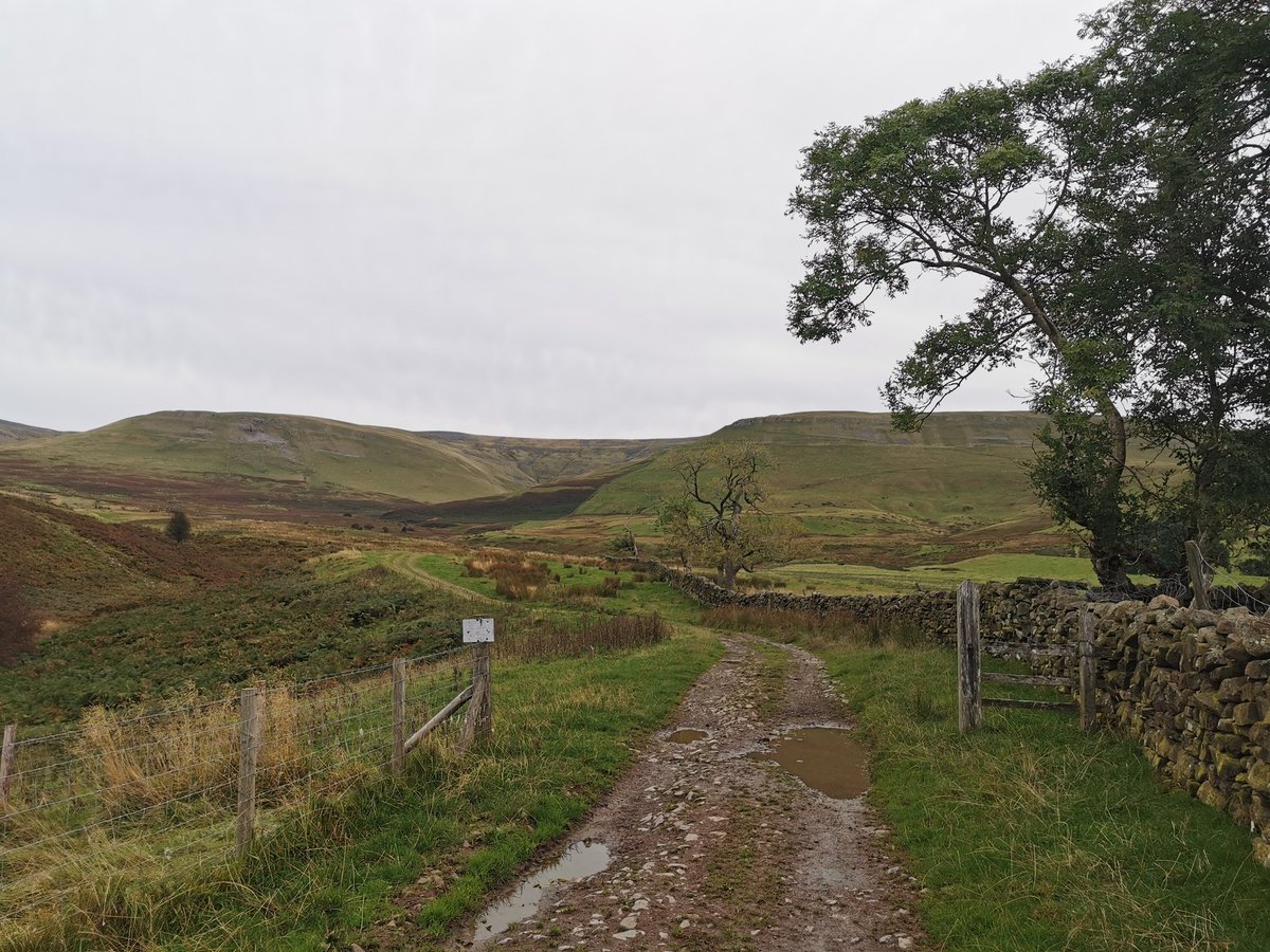 Talib Yaseen tweet media