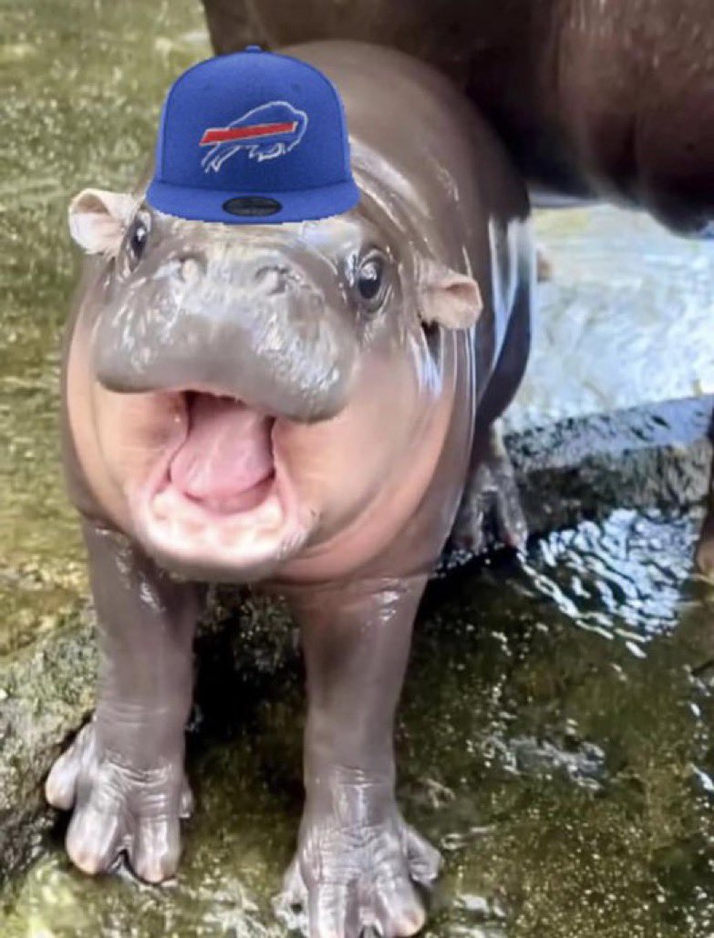 GO BILLS SAY IT BACK