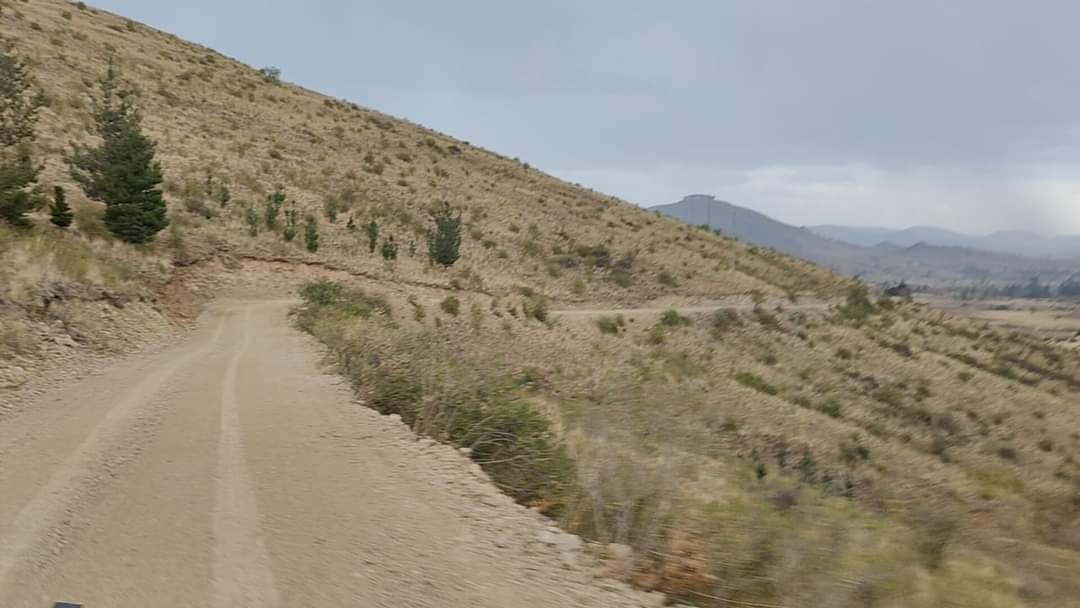 HSanchezOficial's tweet photo. Nuestros hermanos del campo merecen mejores condiciones de infraestructura. Esta semana tuvimos la satisfacción de entregar más de 12 kilómetros de camino mejorado en el tramo Tojra Qollo – Cruce San Pedro, conectando a los municipios de Sacabamba y Villa Gualberto Villarroel. https://t.co/ykLa2wavsi