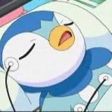  nope but piplup did 