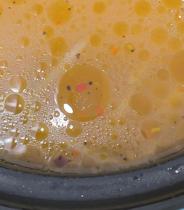 東大判定bot (@toudaihantei) on Twitter photo 