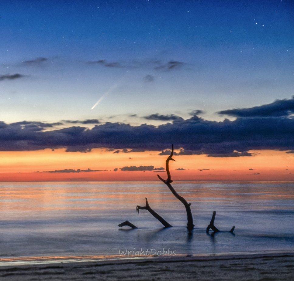 Wright Dobbs tweet media