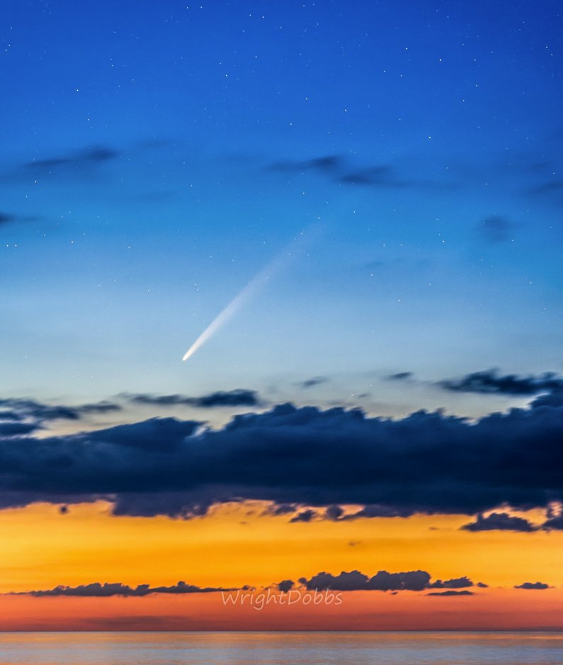 Wright Dobbs tweet media