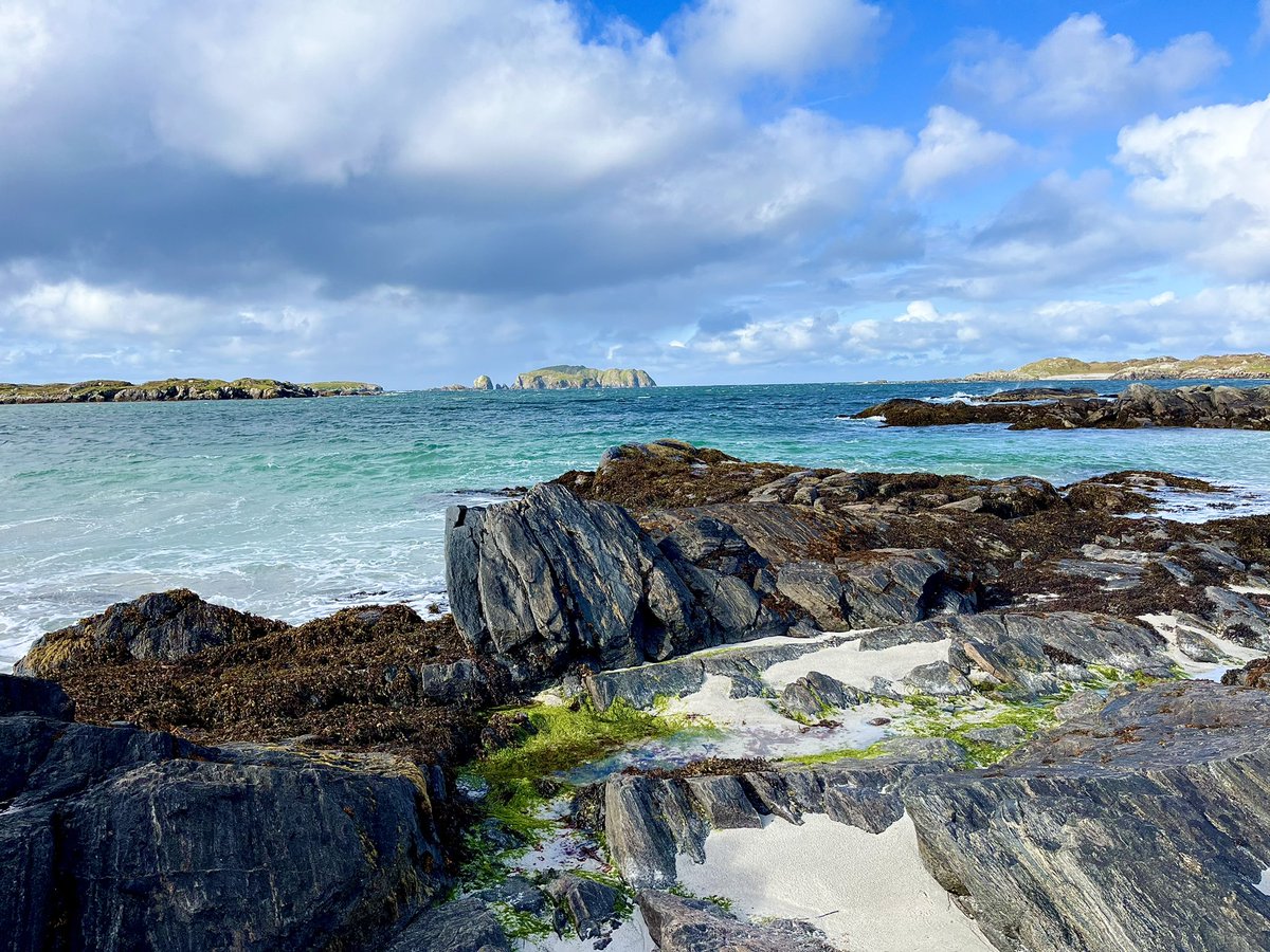 North Coast Explorer tweet media