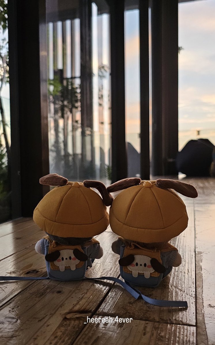 _ks802's tweet photo. 感受到自己的飛行恐懼正在變好
沒想過因為追星而重新踏出的一步
讓我今天能一個人飛到台灣
雖然只是短短一個小時
但有一種在恐懼中重獲自由的感覺🥰
感謝雙熙，也感謝當初喜歡上雙熙的自己😙 https://t.co/Zpmn0rTbj1