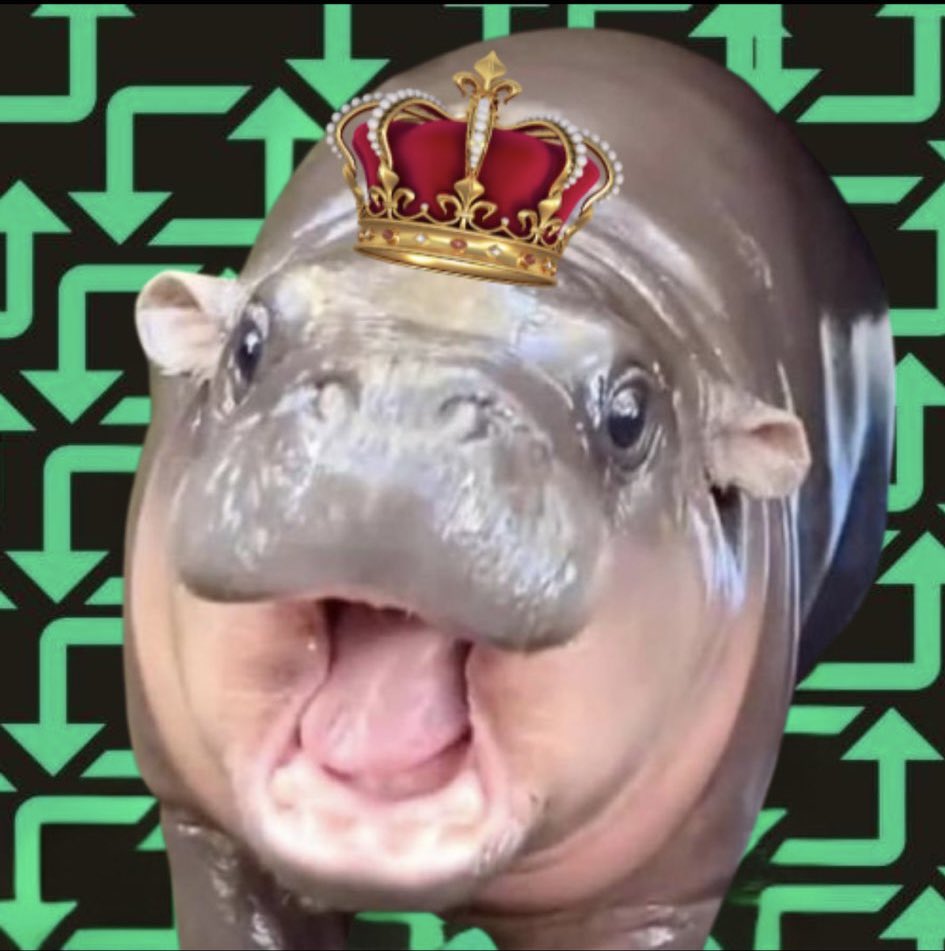 CryptoLadyD's tweet photo. @GG1nvestments Today it’s #RepostTheMoodeng #RepostGang #MOODENG @retweetmoodeng
Based team can it flip #Repostdog ?
https://t.co/ohvIMcaDAN https://t.co/h5StikIxuO