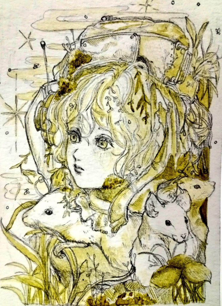 ロジネズミ (@rozi_4649) on Twitter photo 