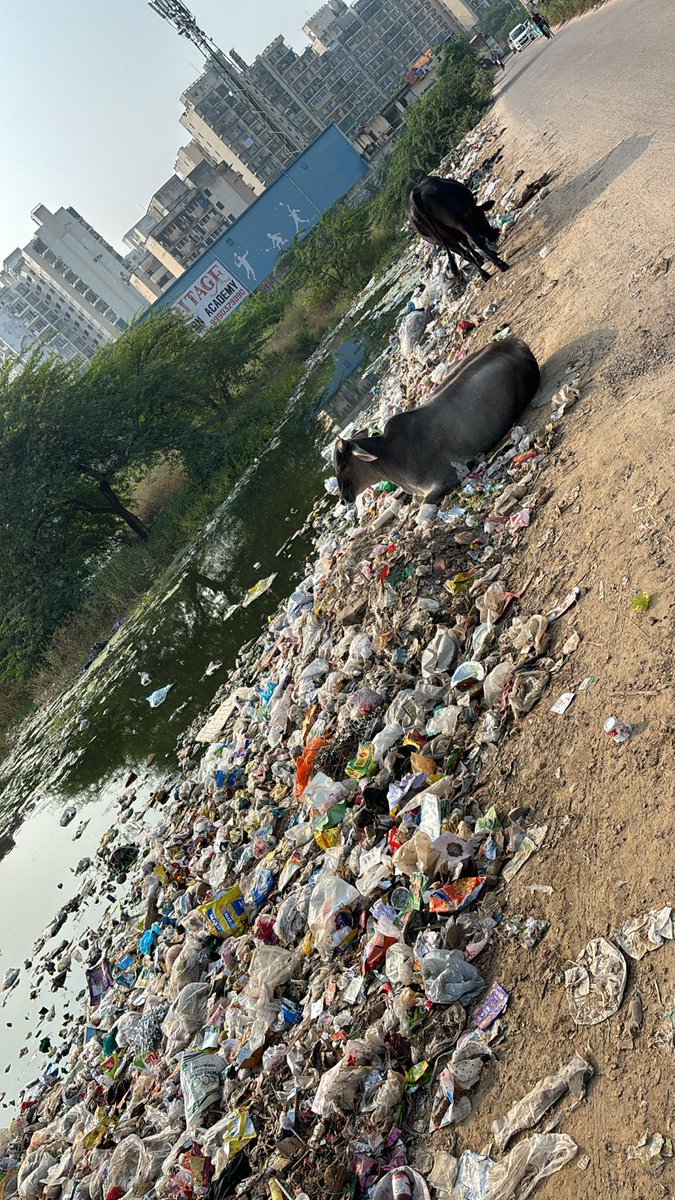 VikasBa17111838's tweet photo. #Water_logging #pot_holes #Garbage_dumping in open #Sector37c, #Gurgaon https://t.co/9HwQJ1Fqe4