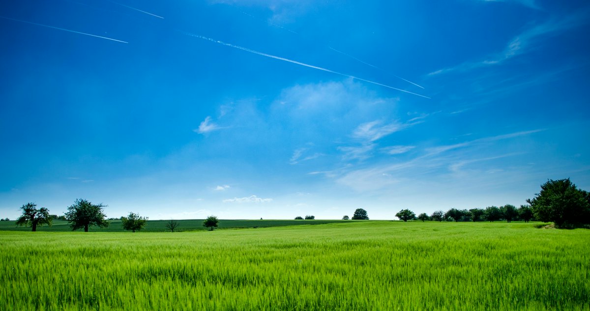 SSRN's tweet photo. Land use &amp; planning law has gained attention due to its impact on critical issues like housing affordability, #economicgrowth, social mobility, economic #equality, racial integration, &amp; #environmental concerns.

Read: https://t.co/VVCZNrslrE
Subscribe: https://t.co/MEcNncOVzS https://t.co/RZ3yI8Bo59
