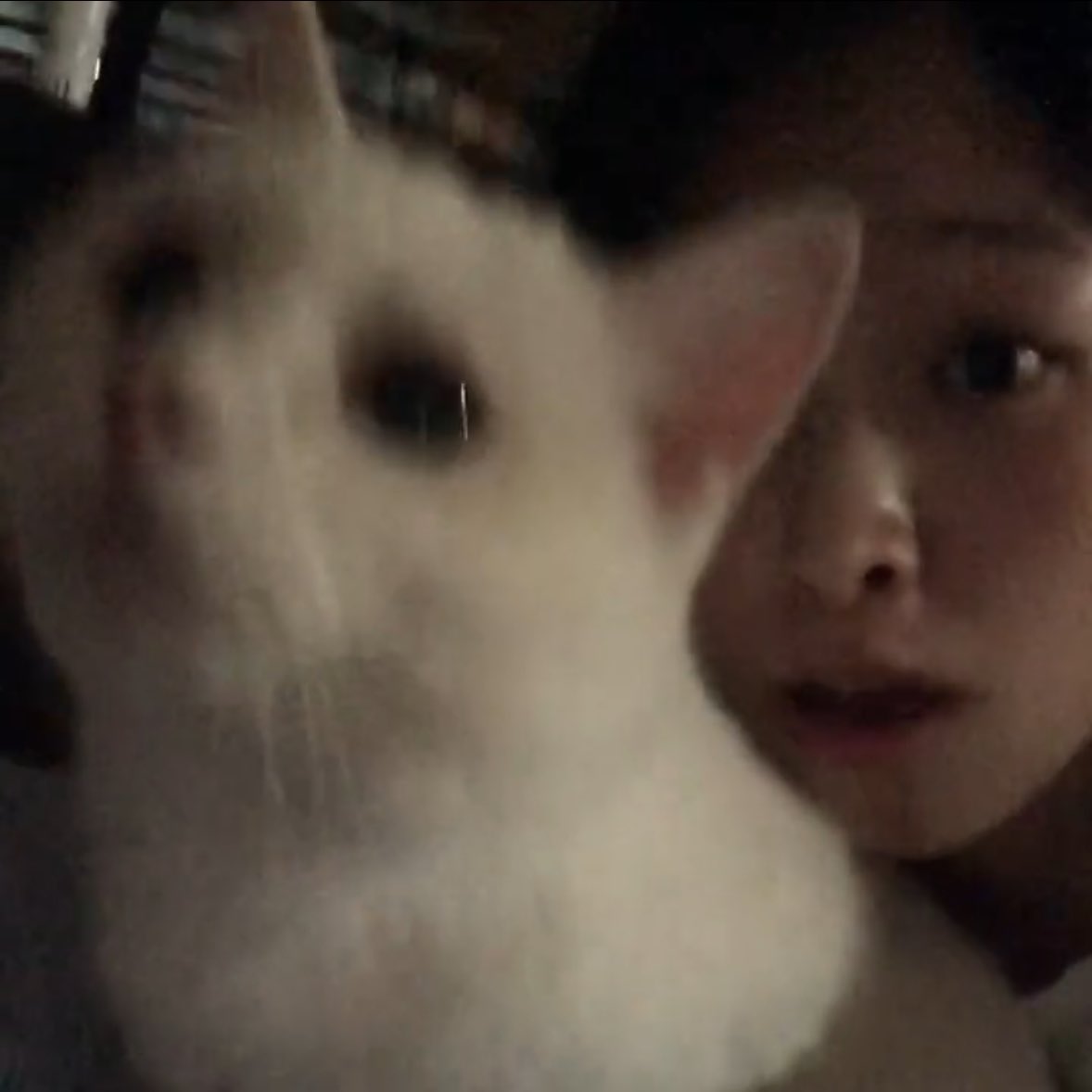 걍 좌우반전이긔
