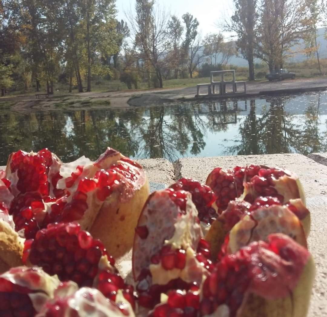 Pan Šejtan-efendija tweet media