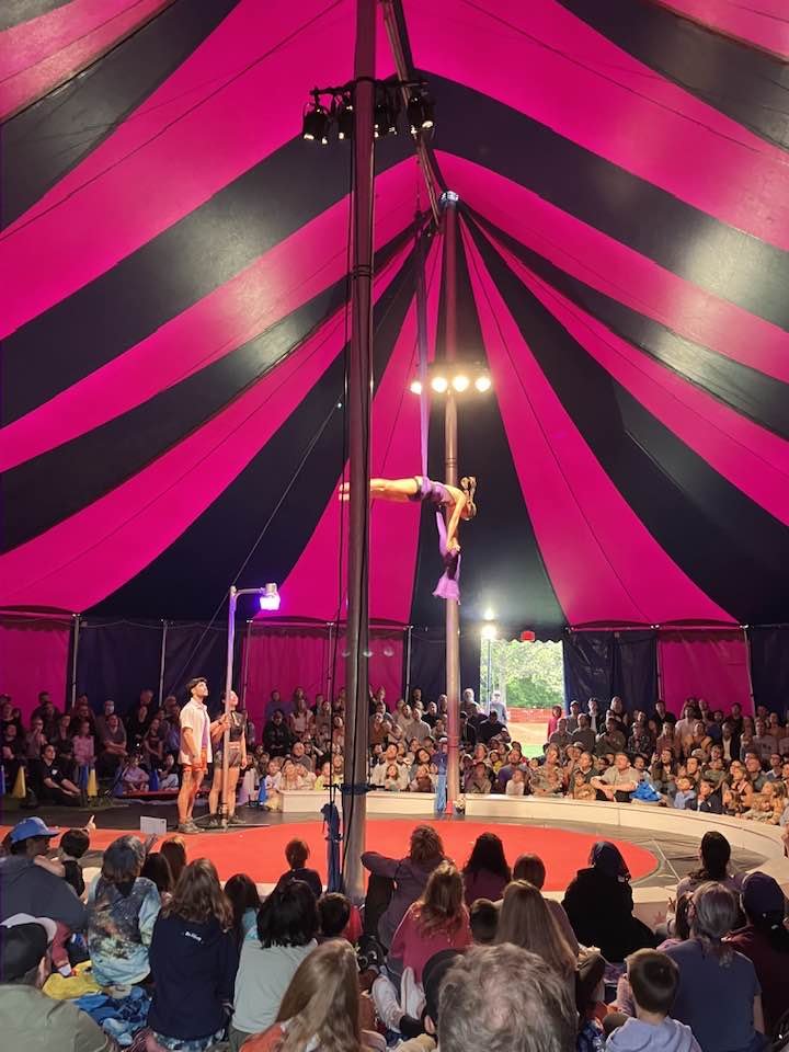 Rep. Ann Williams tweet media