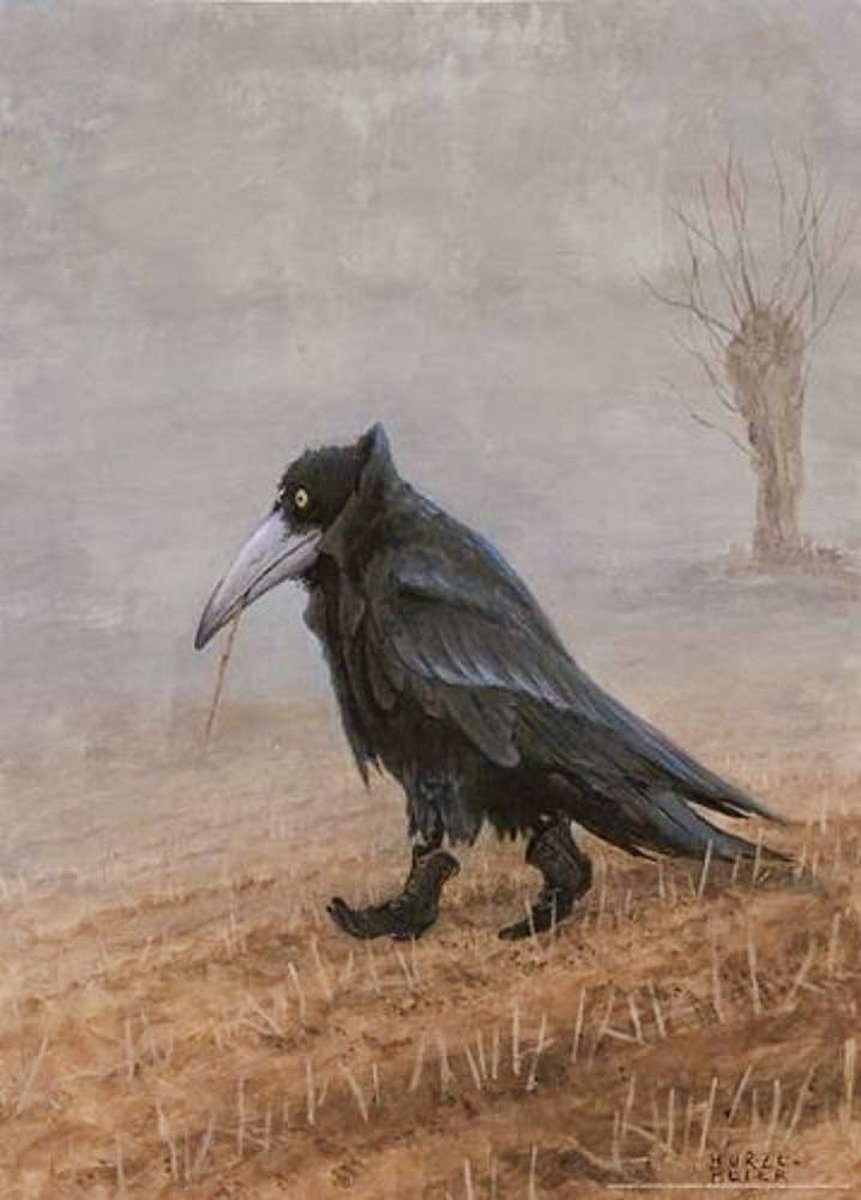 A crow can recall every route it has ever taken…crows are messengers, spies, guides, companions, harbingers of luck, deliverers of trinkets and treasures, tireless in all ways, more loyal than any other man or beast.

~Alice Hoffman