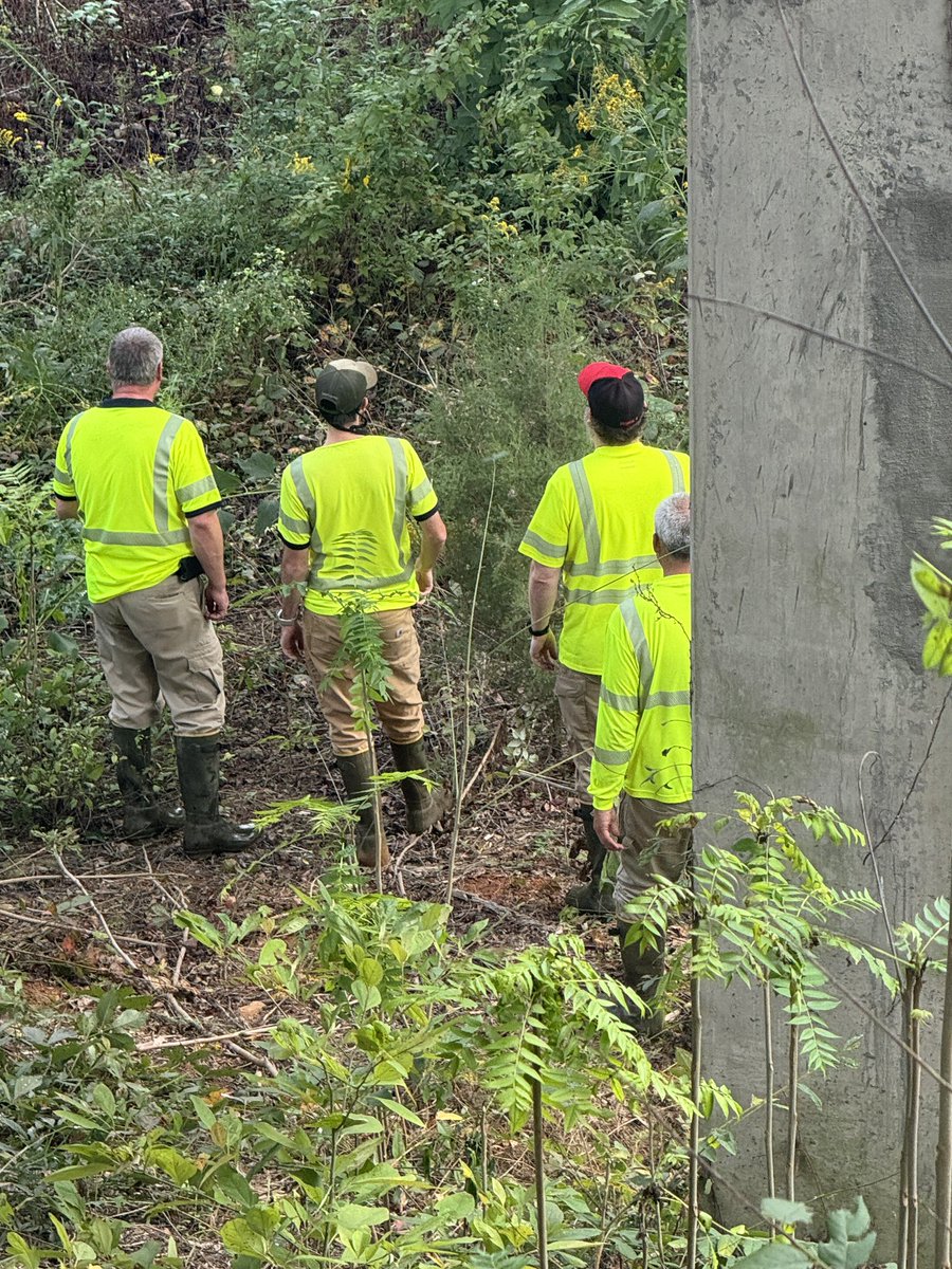 Mark Nagi tweet media