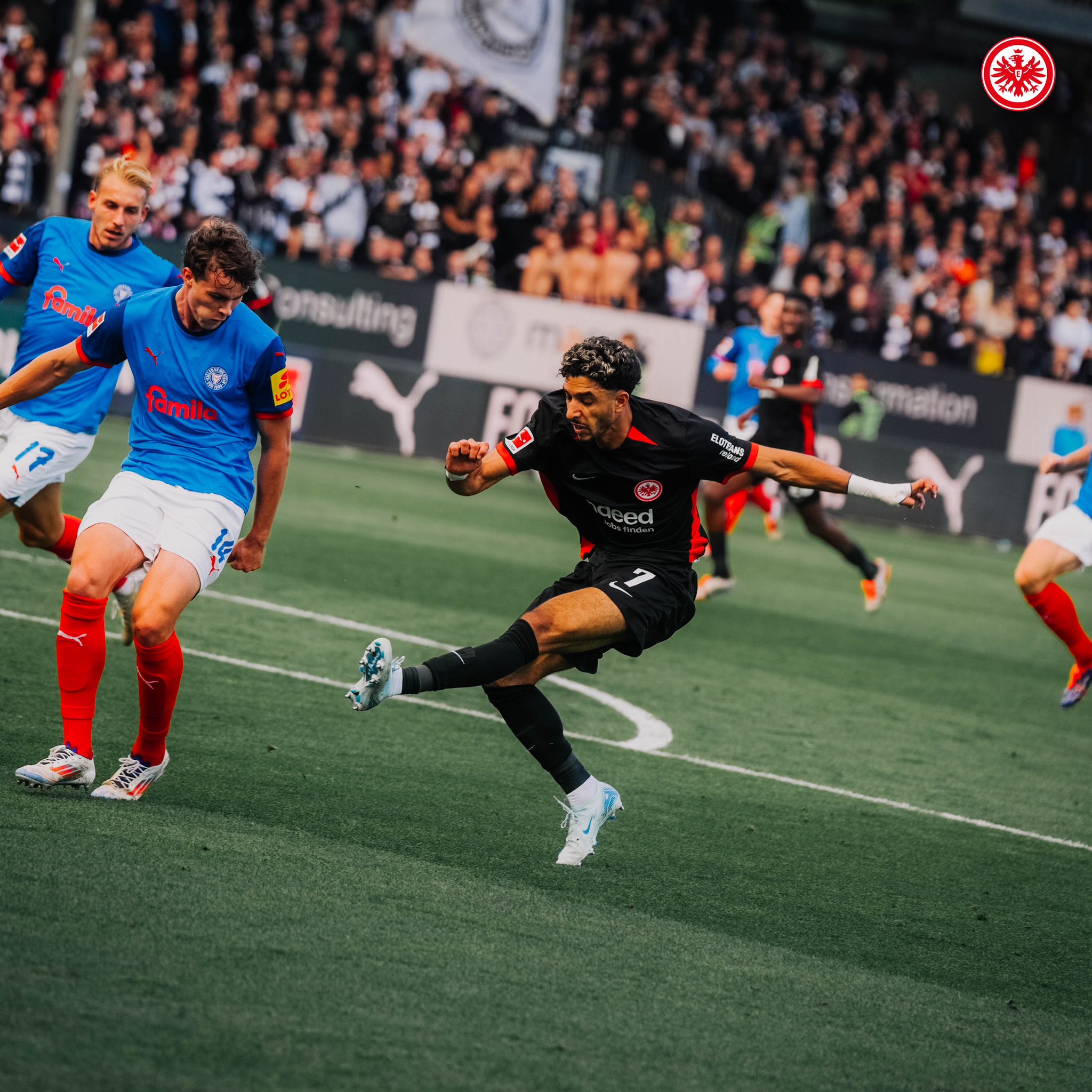 Eintracht Frankfurt on X: 