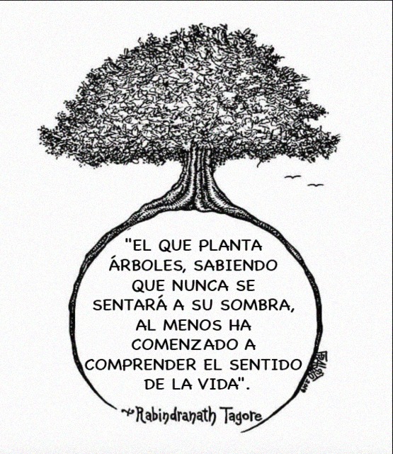 Cuando un hombre planta arboles a cuya sombra sabe que nunca habrá de sentarse, ha comenzado a entender el sentido de la vida 🌳🌳🌳
