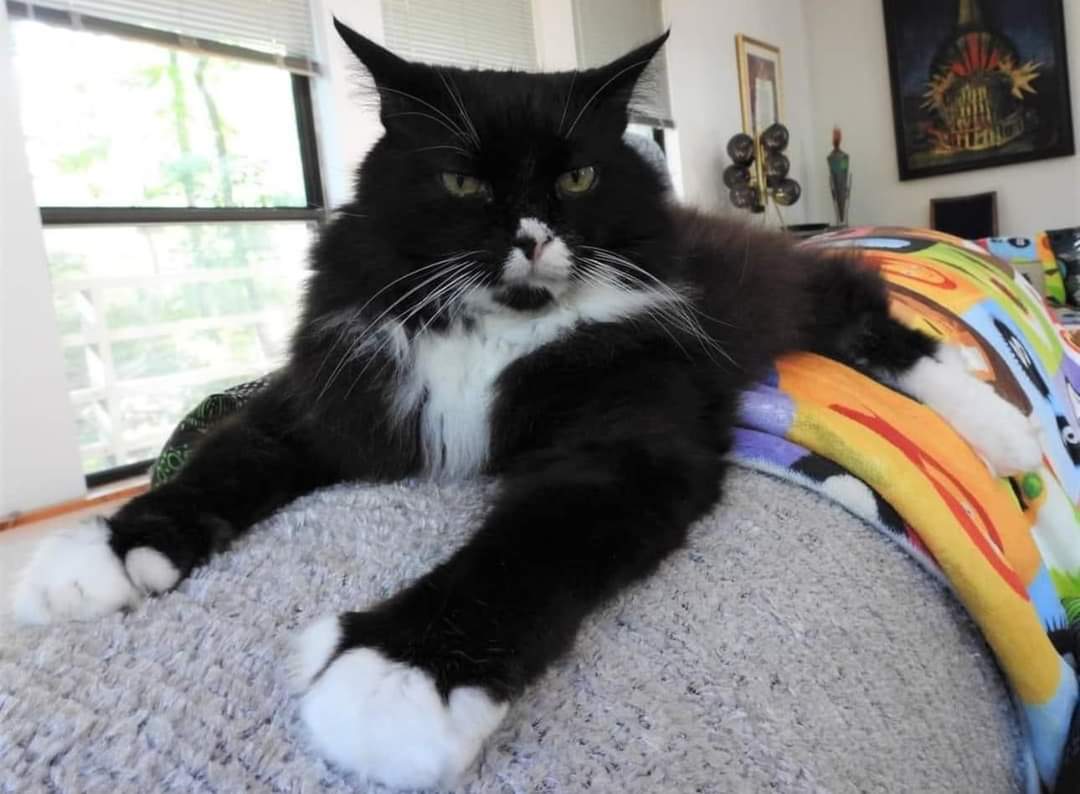 Jeff VanderMeer tweet media