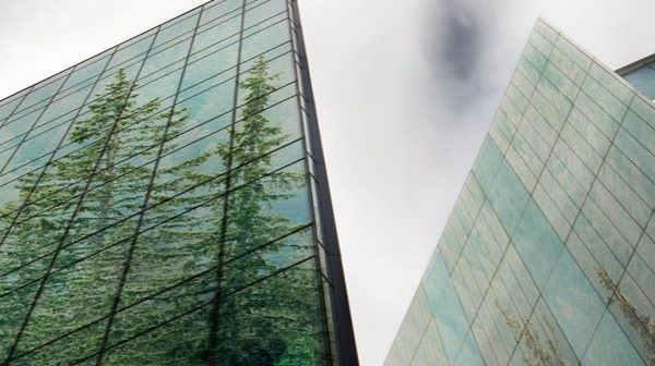 Discover how ESG is becoming a pivotal factor in mergers and acquisitions, driven by better data and sophisticated tracking. Dive into the full article to see how sustainability is shaping the future of business investments. deloi.tt/4eoqNQs