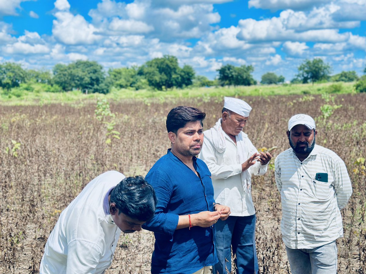 RmeshSpeaks's tweet photo. जन्मभूमि में…. सोयाबीन की खेती।

बचपन के दोस्तों के साथ बाईक पर खेतों की सैर। 

#Mahagaon #soybeans #Farmers #Friends https://t.co/Y8i9cLIGHF