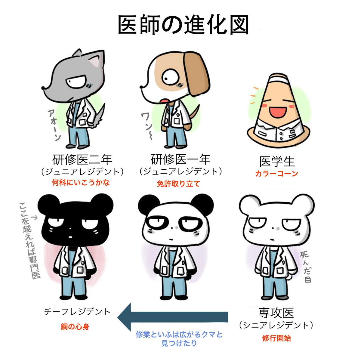 医学生の路障生活 Medical student roadblock life tweet media