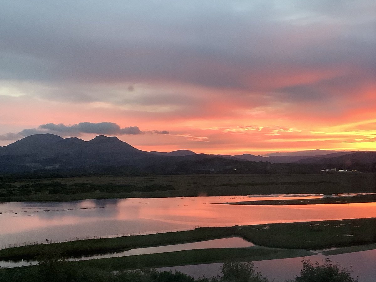 Andrew Sutherland tweet media