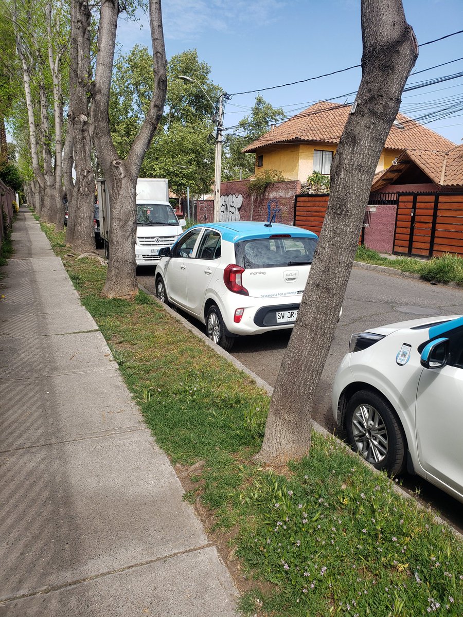 gonzafran1's tweet photo. @awtocl Señores en calle los condores frente al 2023 en peñalolen  hay autos de su empresa con vidrios laterales rotos https://t.co/526M5puc3W