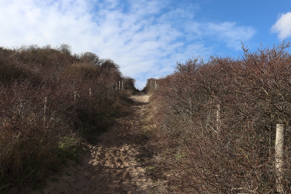 JefKPhotography's tweet photo. A sand road hill. This sand road goes to the beach.
Photography.
#sandroad #sandroads #hill #hills #photography #photo #photos #photograph #photographs #pictures #picture #image #images https://t.co/rUE73OPyFD