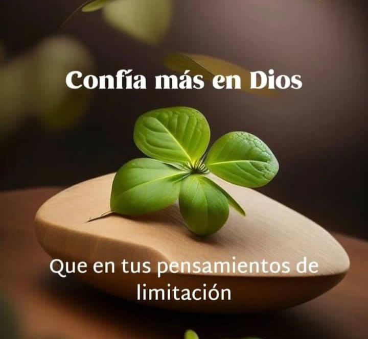 alfredo81072805's tweet photo. Él es el Dios que me salva;tengo confianza y no temo,porque mi fuerza y mi fuente de alegría es el Señor, él es mi salvación.

Isaías 12:2
#PrayForPalestine
#Gaza_is_dying_of_hunger 
#GazaInGenocide https://t.co/q8Vy2uTnua