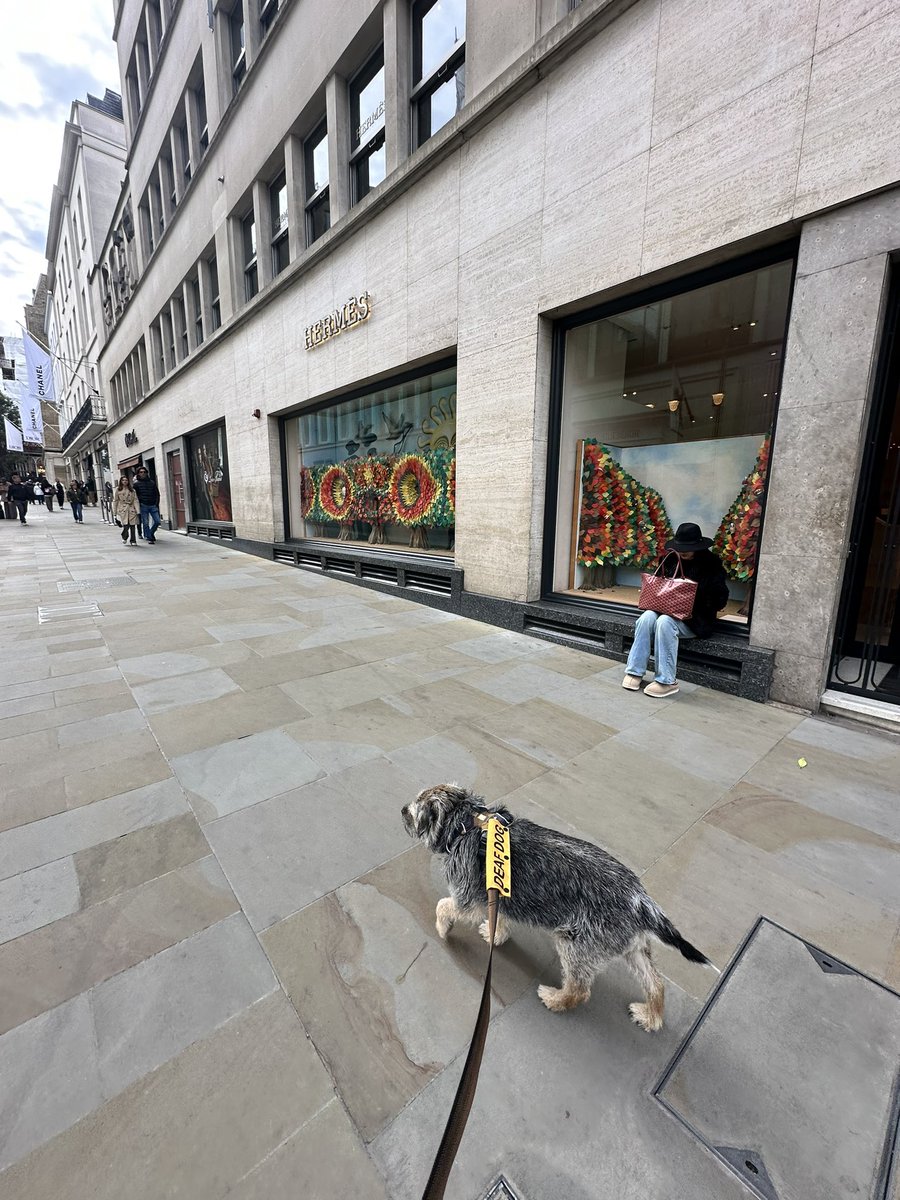 Lord Scrappy Nelson tweet media