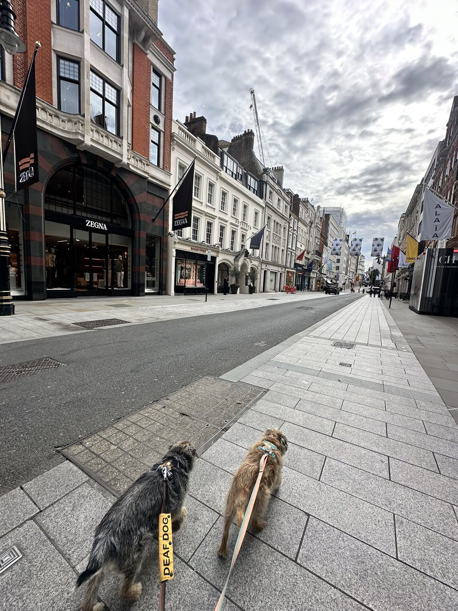 Lord Scrappy Nelson tweet media