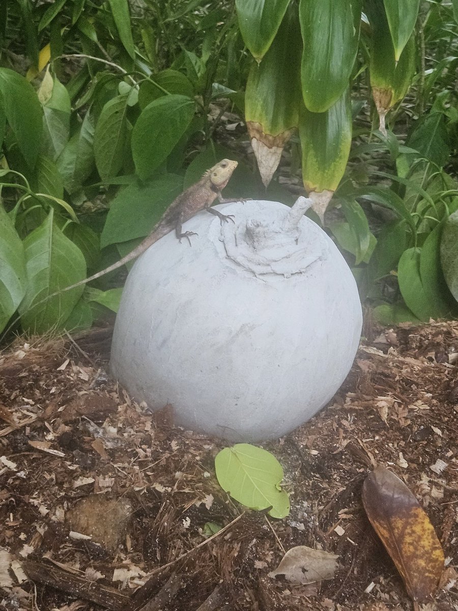 Ruby (@halje_) on Twitter photo 