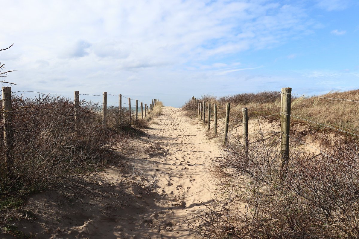 JefKPhotography's tweet photo. A sand road and barbed wire fences. This sand road goes to the beach.
#coastal #sandroad #sandroads #coastal #photography #photo #photos #photograph #photographs #pictures #picture #image #images https://t.co/v3Dvloz4ng