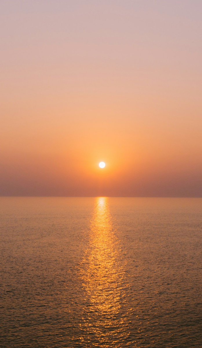 aestheticspost_ tweet picture