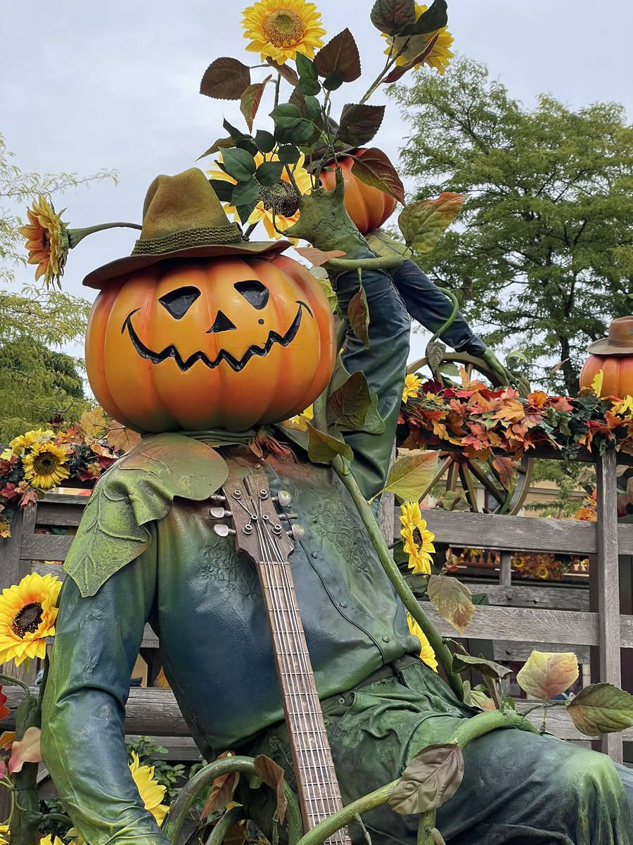 Anthony Terrade tweet media