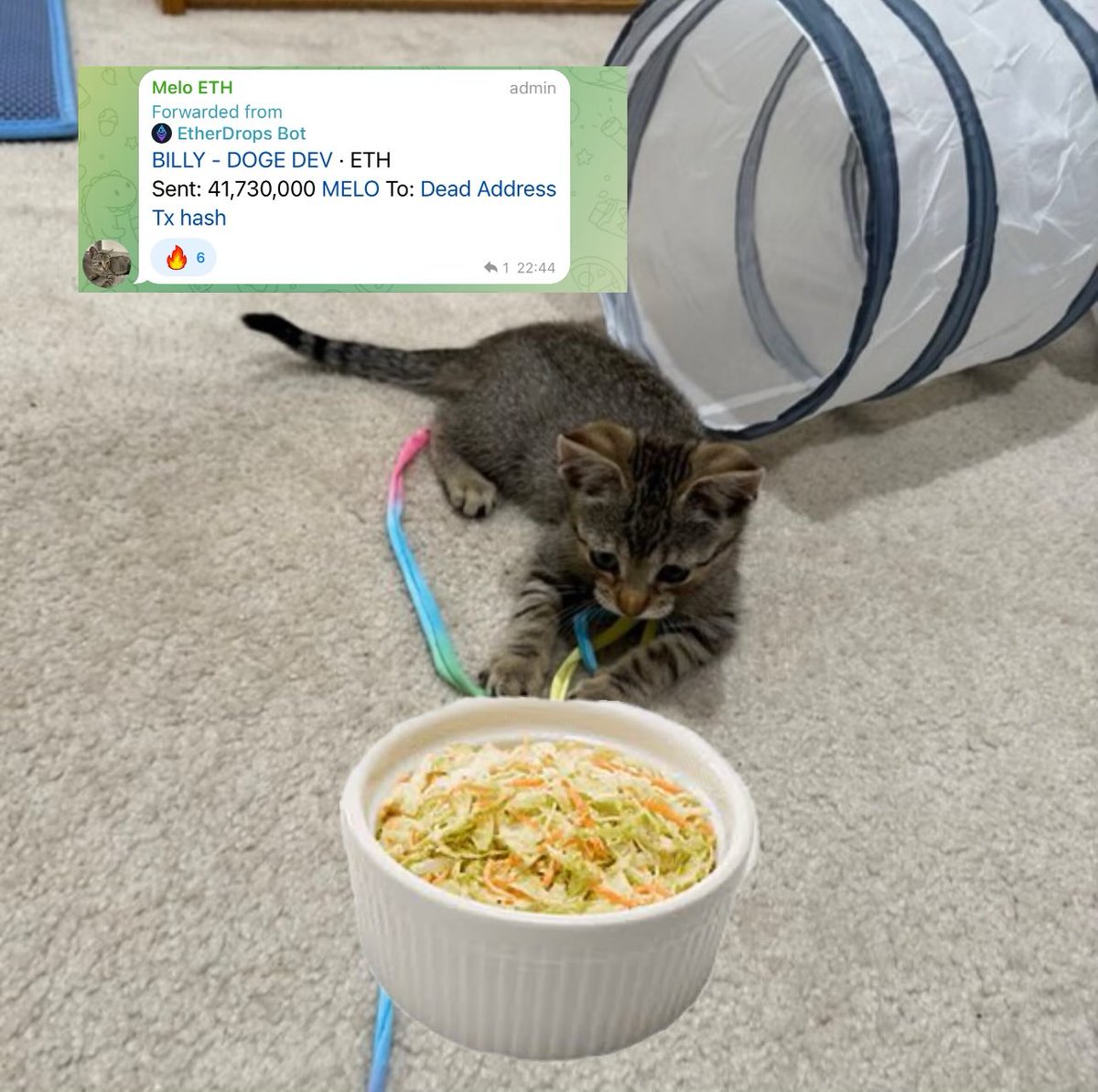 MELOonERC's tweet photo. @BillyM2k We like coleslaw…

and $MELO

Appreciate the burn, sir! 🔥😻

https://t.co/v4qaUmaARW https://t.co/UbdDdq1Bpd