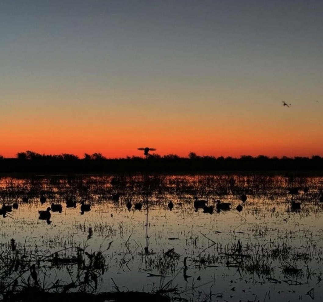 CarsonWestTX's tweet image. Two good mornings in Garwood for closing teal weekend with my dad, brother, and Myles. And Roux.
Running Back Camp at 12:30. Batting cage and fielding at 6.
#DuckHunting
#Outdoors
@Football_TMHS
@TMHSBaseball
@CoachJDCary
@CoachWiggins12