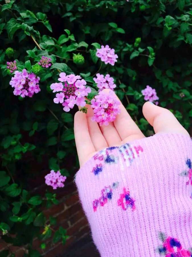 ✫اچھے الفاظ بھی صدقہ ہیں جو کبھی ضائع نہیں جاتے✫🦋