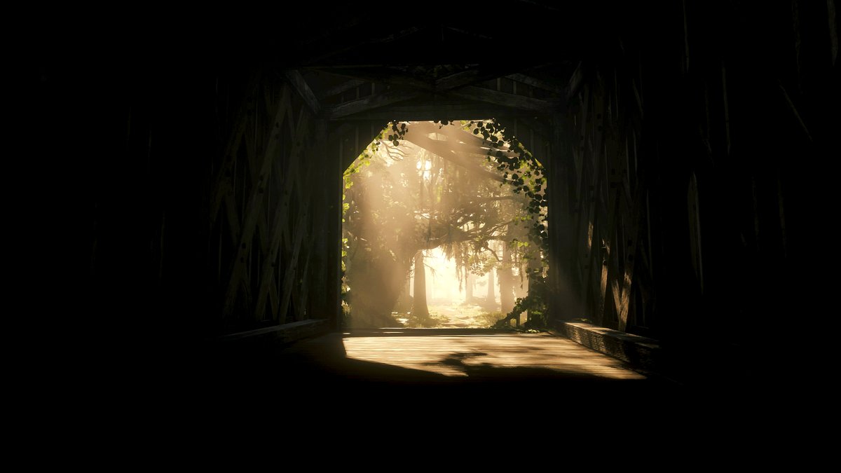 kurikararyuou's tweet photo. We know the beauty of this world. 
#VPCrayoflight 
#レッドデッドオンライン #RedDeadRedemption2 #RedDeadOnline #rdor3 #RockstarGames #PlayStation5 #VirtualPhotography #PS5 #ZarnGaming #VPCONTEXT #VPClandscape https://t.co/3G7yYFU6qy