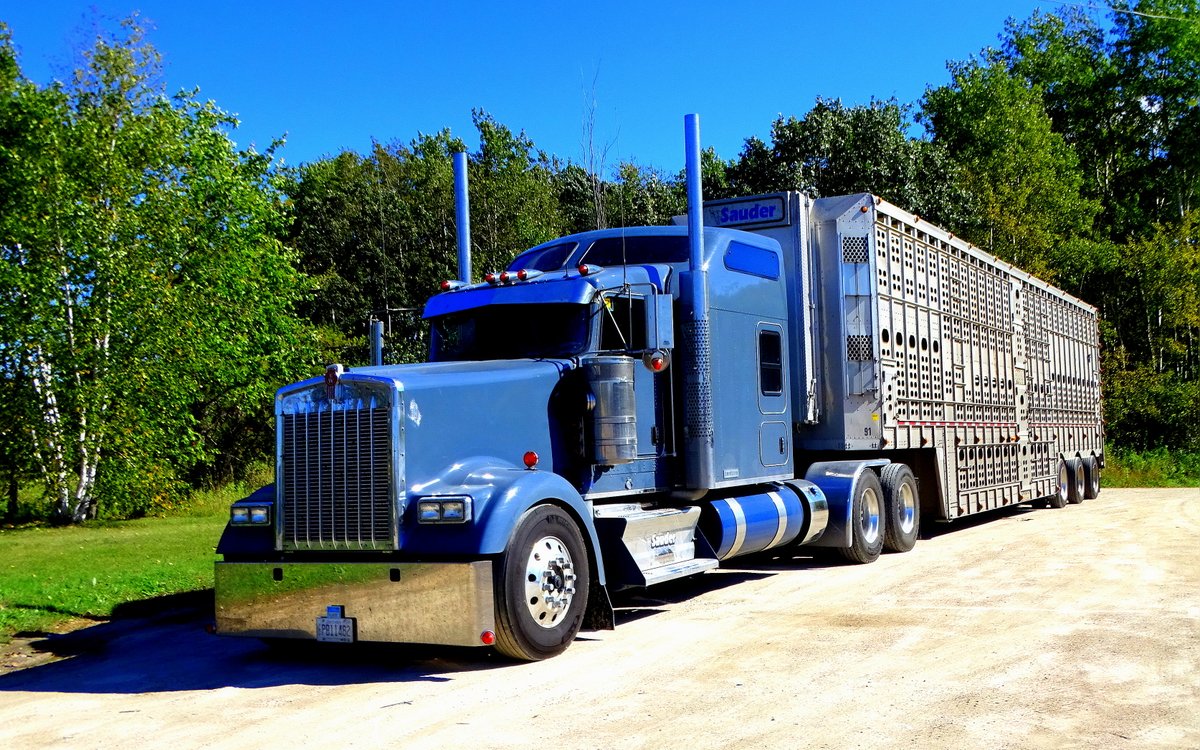 Eldon Zigarlick tweet media