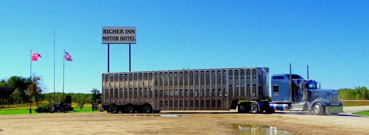 Eldon Zigarlick tweet media