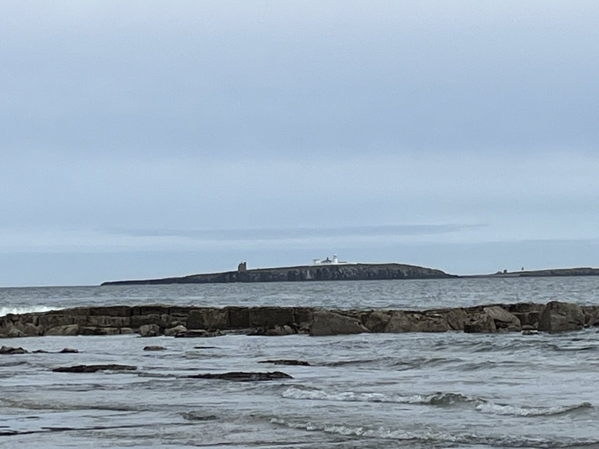 Beautiful Northumberland. A peaceful, relaxing 24 hours. 😊🏰⛴️