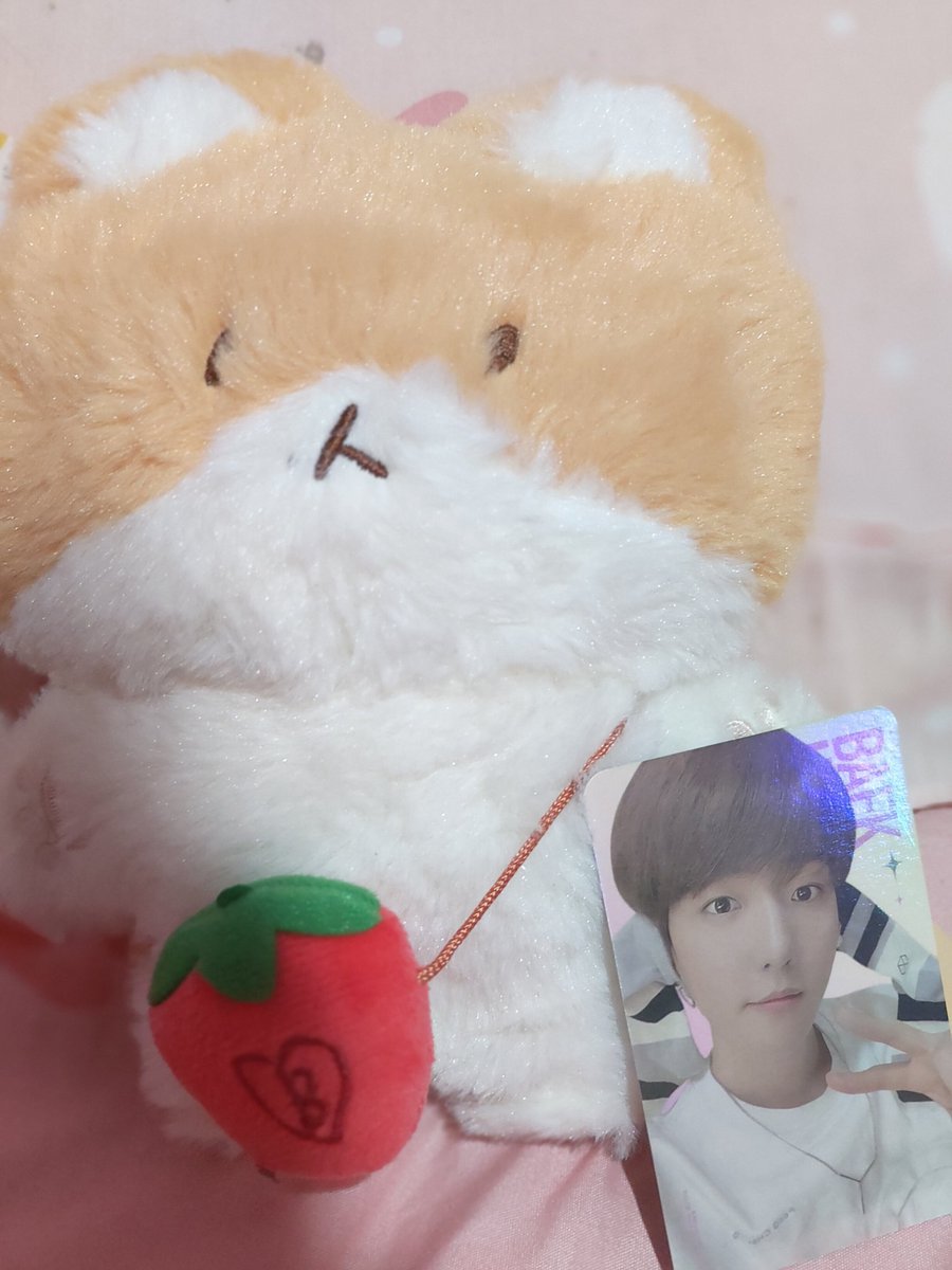 shiners_1485's tweet photo. teologi X naori 🥰🥰 #Sandyourheart #cocselcaday https://t.co/hMFLV1vxLS