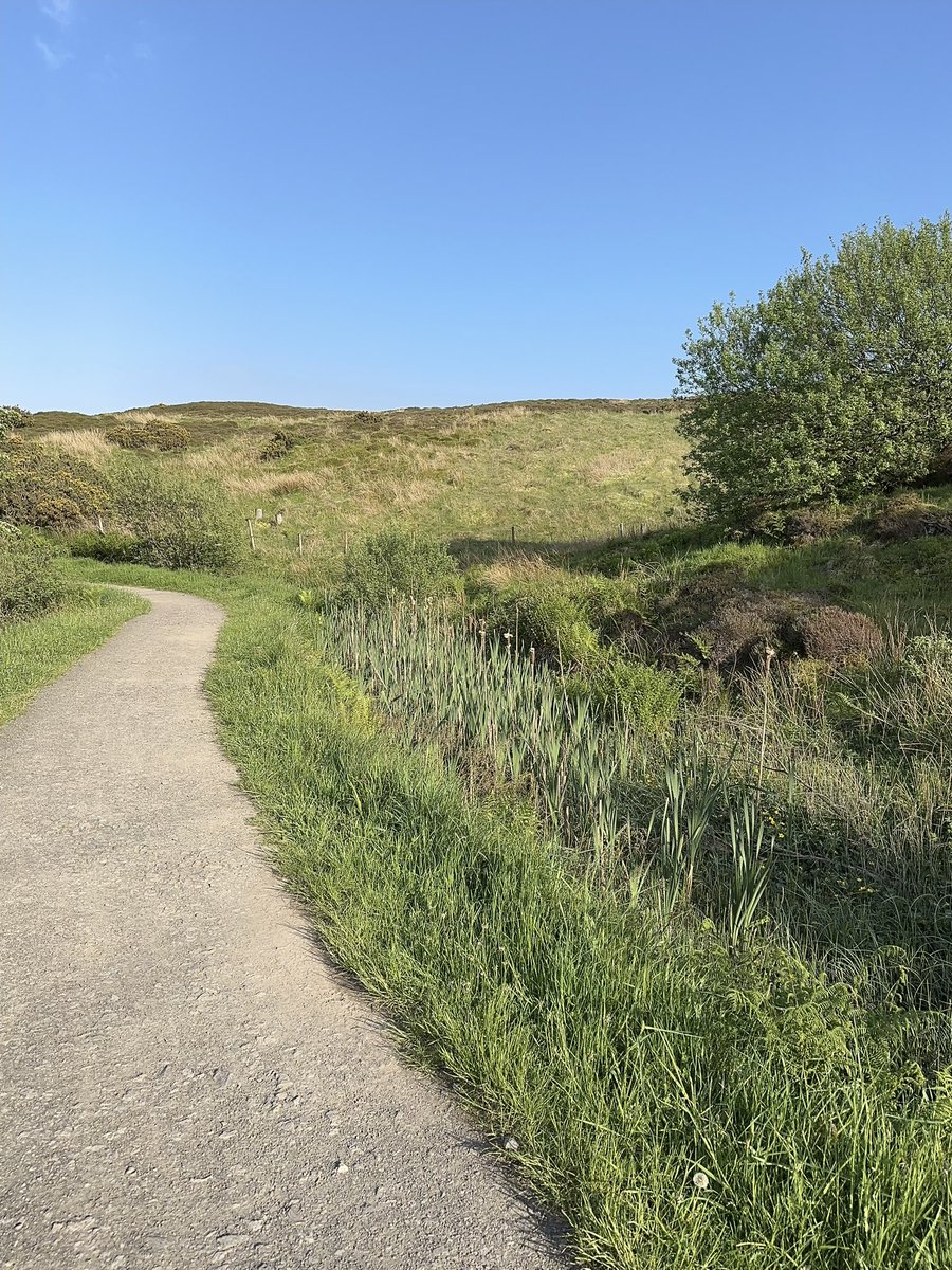 carlymckendry's tweet image. Bike, hike, swim or sit in the sun watching cricket.  Whatever you choose, get outside. Your body &amp;amp; mind will thank you for it. And don’t forget local is wonderful 😉❤️ @discinverclyde #GetOutsideDay