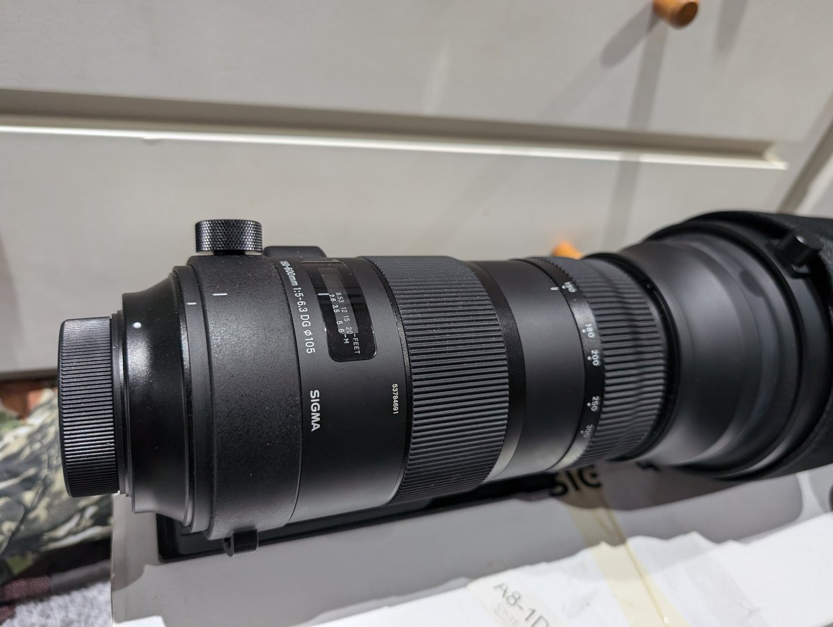 WildDevon tweet media