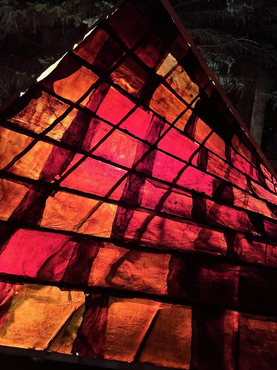 What a great Nuit Blanche Winnipeg! #downtownwinnipeg #exchangedistrictwinnipeg #nbw #publicart #artafterdark #Winnipeg