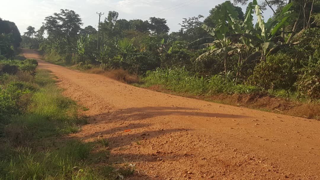RealEstateUG1's tweet photo. Get an acre of farming land in nakaseke at only ugx10m with electricity and water source on site
#RealEstate #realestateuganda
Call or WhatsApp: 0742914650 https://t.co/UwNgTnFFKj