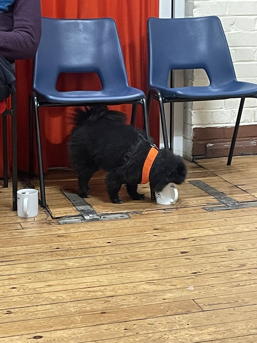 Georgia Bronte tweet media