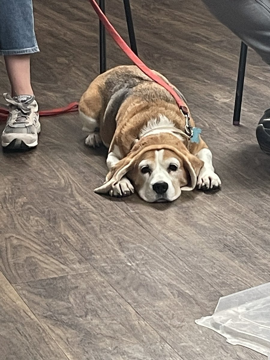 Georgia Bronte tweet media