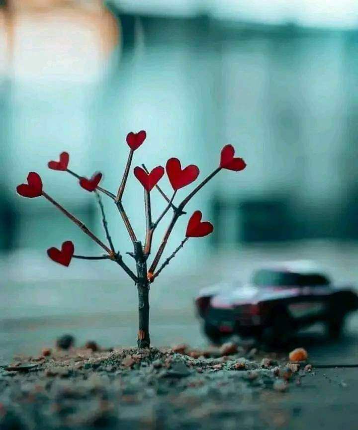 عداء مسافات الطويلة ⛰ tweet media