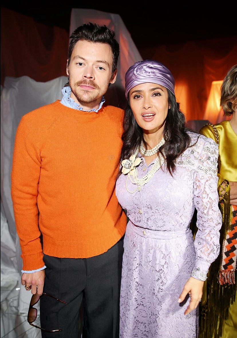 daily harry tweet media